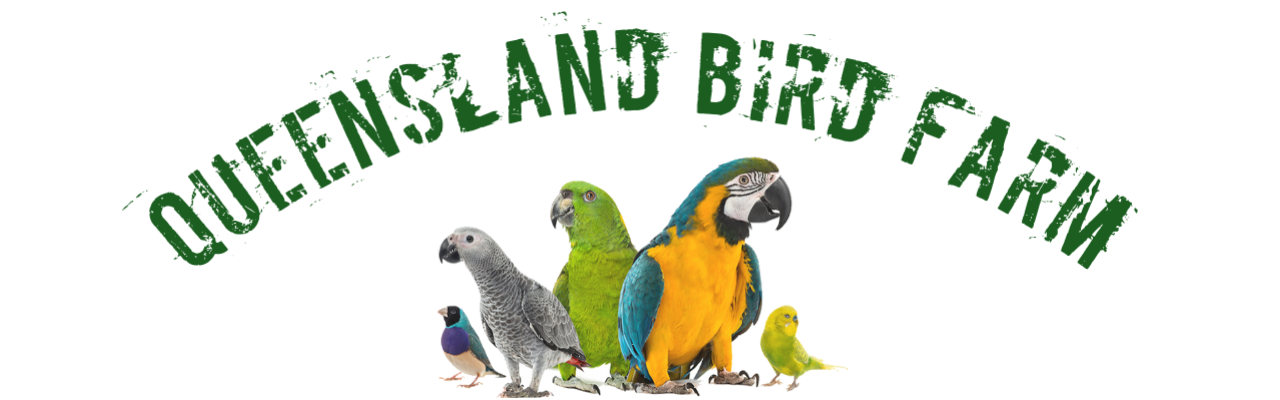 Queensland Birdfarm